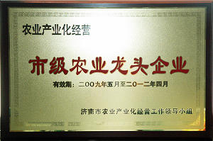 20250124104061306130 优德88(中国区)最新官方网站