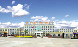 2025012515020589589 一个城郊村的城镇化范本