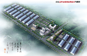 20250125210528732873 “物流航母”驶入山东齐河!
