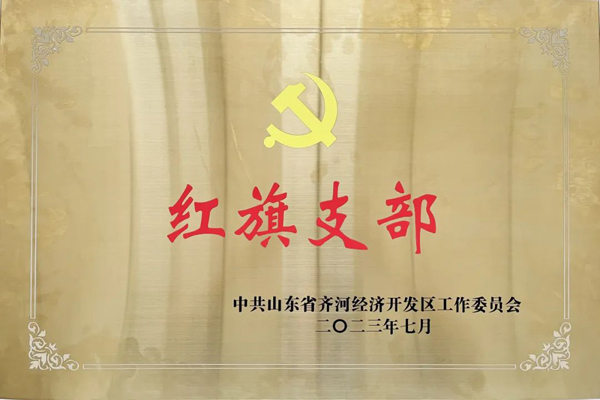 20250326213474747474 集团冠威园区党支部荣获“红旗支部”荣誉称号