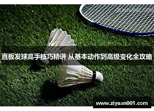 直板发球高手技巧精讲 从基本动作到高级变化全攻略