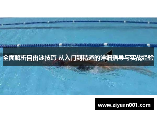 全面解析自由泳技巧 从入门到精通的详细指导与实战经验