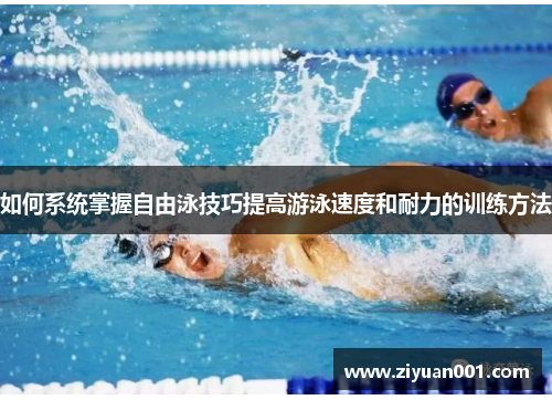 如何系统掌握自由泳技巧提高游泳速度和耐力的训练方法