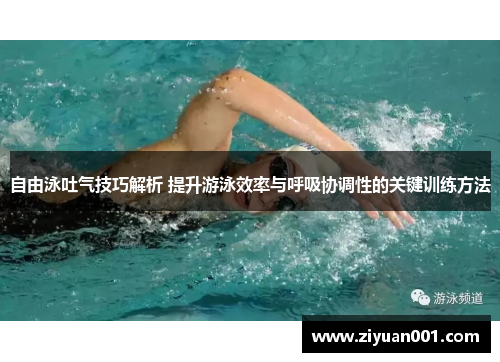 自由泳吐气技巧解析 提升游泳效率与呼吸协调性的关键训练方法