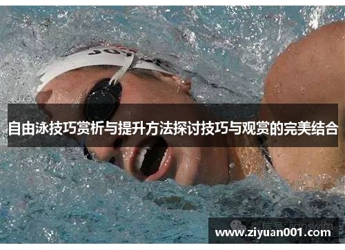 自由泳技巧赏析与提升方法探讨技巧与观赏的完美结合