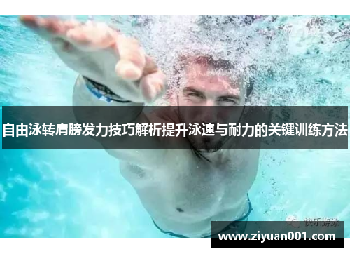 自由泳转肩膀发力技巧解析提升泳速与耐力的关键训练方法